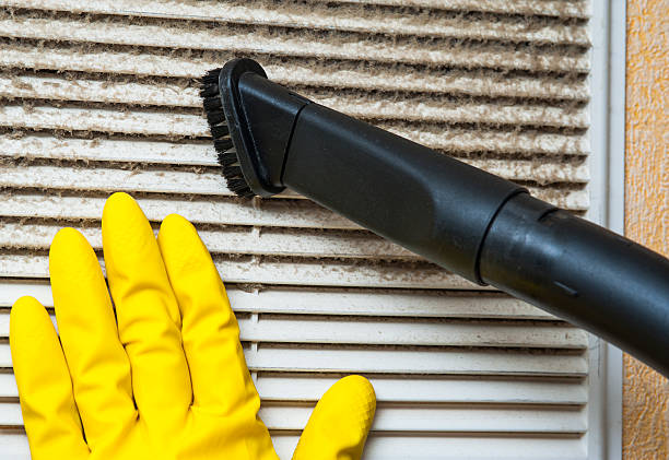 Best Home Air Vent Cleaning  in Escanaba, MI